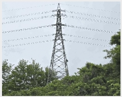  2025Ÿ50977  ûֽ  ̸ Ǹ 460-4     (Ӿ)