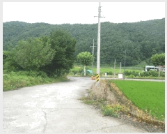  2025Ÿ��51268 ��� û�ֽ� ��籸 �̿��� ���̸� 256     ������