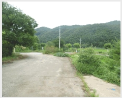  2025Ÿ��51268 ��� û�ֽ� ��籸 �̿��� ���̸� 256     ������