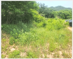  2025Ÿ51270  õ   620      (1)