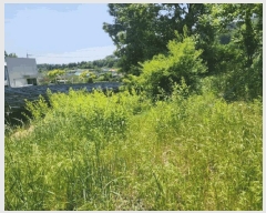  2025Ÿ51270  õ   620      (1)