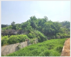  2025Ÿ51270  õ   620      (1)