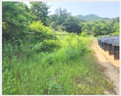  2025Ÿ51270  õ   620      (1)