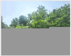  2025Ÿ51270  õ   620      (1)