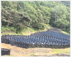  2025Ÿ51286   ȸθ  210      (1)