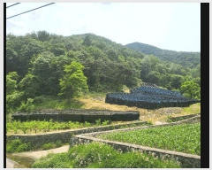  2025Ÿ51286   ȸθ  210      (1)