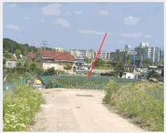  2025Ÿ��51294  �����