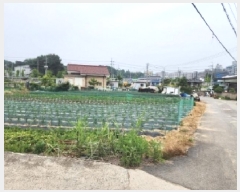  2025Ÿ��51294  �����