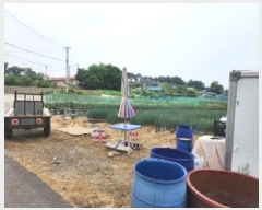  2025Ÿ��51294  �����