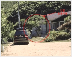  2025Ÿ51296   Ѹ  434-3      ()