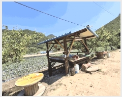  2025Ÿ51296   Ѹ  434-3      ()