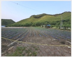  2025Ÿ51296   Ѹ  434-3      ()