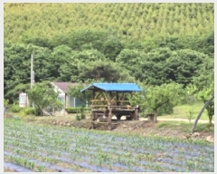  2025Ÿ51296   Ѹ  434-3      ()