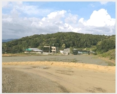  2025Ÿ��51327 ��� û�ֽ� ��籸 ���ϸ� ���߸� 244-2     ����(�Ӿ�)���