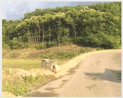  2025Ÿ��51327 ��� û�ֽ� ��籸 ���ϸ� ���߸� 244-2     ����(�Ӿ�)���