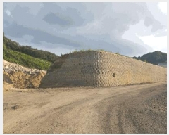  2025Ÿ��51327 ��� û�ֽ� ��籸 ���ϸ� ���߸� 244-2     ����(�Ӿ�)���