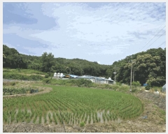  2025Ÿ��51335 ��� û�ֽ� û���� ��â�� �ı⸮ ��94-32     ����(�Ӿ�)���