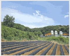  2025Ÿ��51335 ��� û�ֽ� û���� ��â�� �ı⸮ ��94-32     ����(�Ӿ�)���