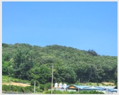  2025Ÿ��51335 ��� û�ֽ� û���� ��â�� �ı⸮ ��94-32     ����(�Ӿ�)���