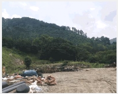  2025Ÿ51353  ûֽ û   37-18     (Ӿ)