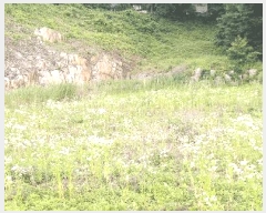  2025Ÿ51353  ûֽ û   37-18     (Ӿ)