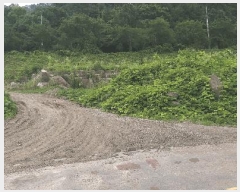  2025Ÿ51353  ûֽ û   37-18     (Ӿ)