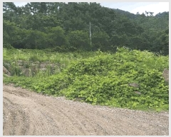  2025Ÿ51353  ûֽ û   37-18     (Ӿ)