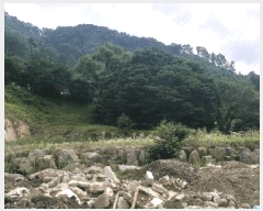  2025Ÿ51353  ûֽ û   37-18     (Ӿ)