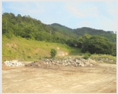  2025Ÿ51353  ûֽ û   37-18     (Ӿ)