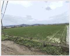  2025Ÿ��51361  ����