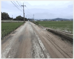  2025Ÿ��51361  ����