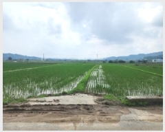  2025Ÿ��51361  ����