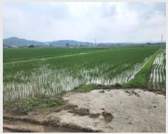  2025Ÿ��51361  ����