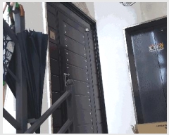  2025Ÿ��51365 ��� û�ֽ� ����� ������ 981-2      �ܵ�����,�����ð��