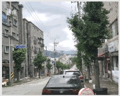  2025Ÿ��51365 ��� û�ֽ� ����� ������ 981-2      �ܵ�����,�����ð��