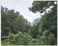  2025Ÿ��51440  �Ӿ߰��