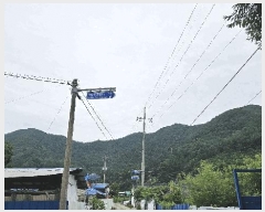  2025Ÿ��51440  �Ӿ߰��