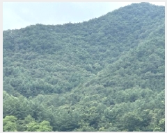  2025Ÿ��51440  �Ӿ߰��