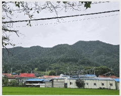  2025Ÿ��51440  �Ӿ߰��