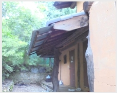  2025Ÿ��51503 ��� û�ֽ� ��籸 ������ �ͷ��� 276     ���ð��