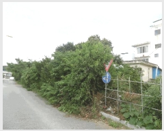  2025Ÿ��51527  ����