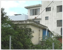  2025Ÿ��51527  ����