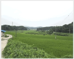  2025Ÿ��51532  ����