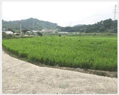  2025Ÿ��51532  ����