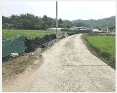  2025Ÿ��51532  ����