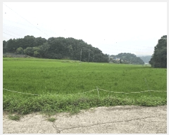  2025Ÿ��51532  ����