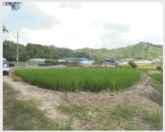  2025Ÿ��51532  ����