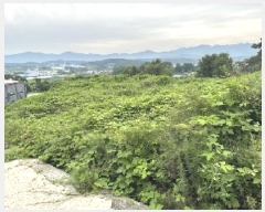  2025Ÿ��51543  �����