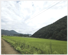  2025Ÿ��51637 ��� ������ ��ܸ� ������ 152      ����(��1)���