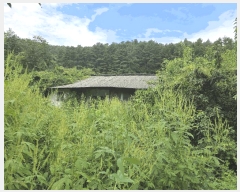  2025Ÿ��51637 ��� ������ ��ܸ� ������ 152      ����(��1)���